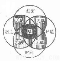 口腔颌面常见疾病——龋病综述