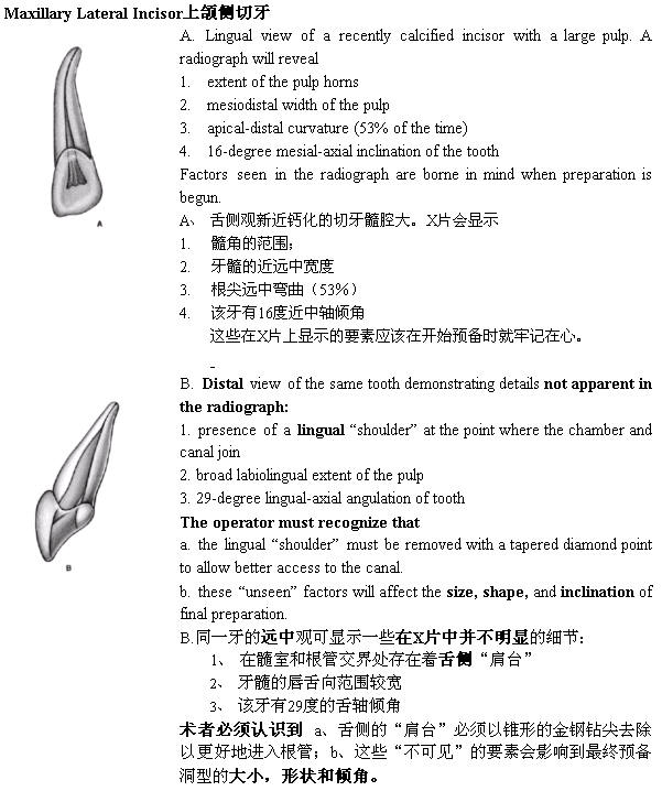 Endo第五版中各牙的牙髓解剖及冠部洞型预备