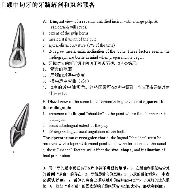 Endo第五版中各牙的牙髓解剖及冠部洞型预备